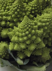 2-romanesco